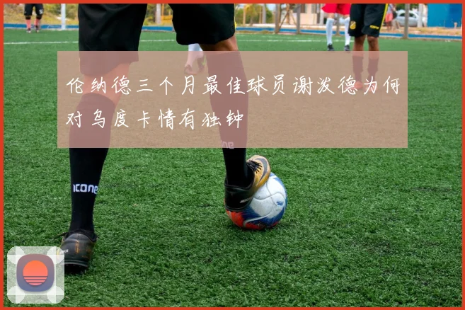 伦纳德三个月最佳球员谢泼德为何对乌度卡情有独钟