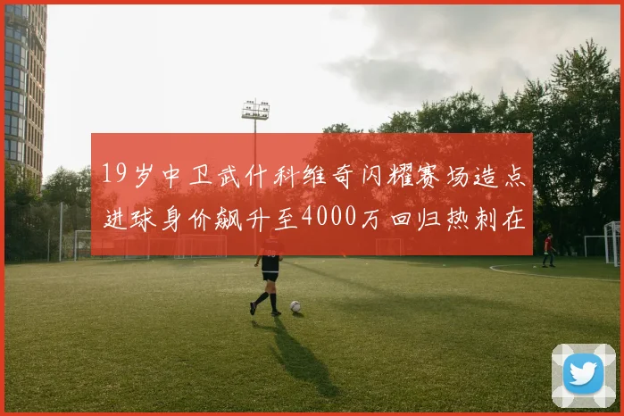 19岁中卫武什科维奇闪耀赛场造点进球身价飙升至4000万回归热刺在即