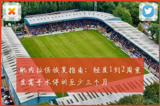 肌肉拉伤恢复指南：轻度1到2周重度需手术停训至少三个月