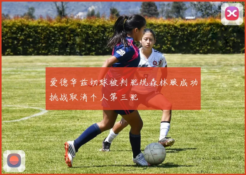 爱德华兹切球被判犯规森林狼成功挑战取消个人第三犯