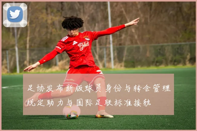 足协发布新版球员身份与转会管理规定助力与国际足联标准接轨